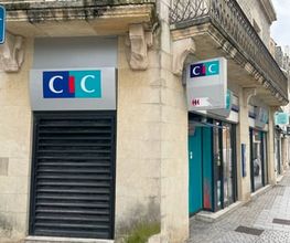 CIC image 4