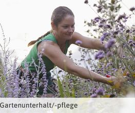 Alabor Gartenbau AG Bild 2