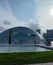 Agente Inmobiliario Silvana Bendahan Gloria imagen 14