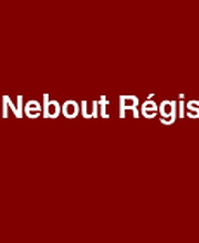 Nebout Régis image 2