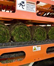 Fertigrasen-Farm Winkel-KG Bild 3