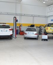 Gallery Cliente