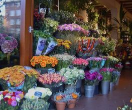 Groot assortiment bloemen