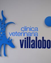 CLINICA VETERINARIA VILLALOBOS imagen 16