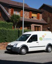 LIMPIEZA DE ALFOMBRAS PROLINTEC imagen 4