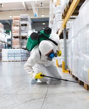 warehouse pest control