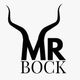 Mr. Bock