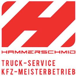 Reparaturwerkstätte Hammerschmid GmbH & Co. KG | KFZ- Service