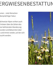 Bestattungsdienst Timon Wälchli GmbH Bild 5