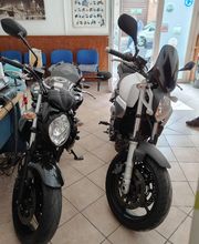 Gallery Cliente