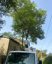 David Élagage image 20