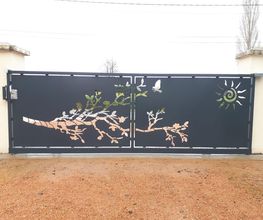 DVVE image 6