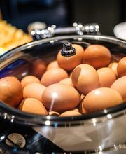 Holiday Inn Express Dresden Zentrum by IHG Bild 10