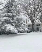 Effingham Manor & Winery image 2