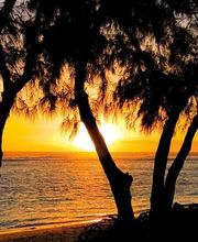 ENVIE D'EVASION - SAINT PAUL TROIS CHATEAUX image 16