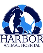 Harbor Animal Hospital image 5