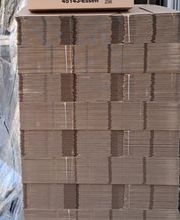 Die Umzugslöwen De Moll Bild 7