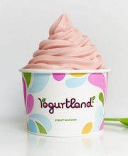 Yogurtland Plaza Mexico image 7
