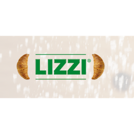 Lizzi Srl logo