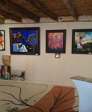 Nicou Dominique image 9