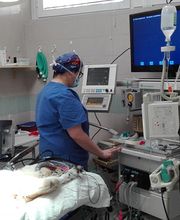 Centro Veterinario Maccauro immagine 8