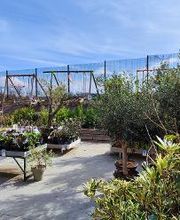 Bricomarché Gannat image 3