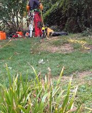 En Vie...d'Arbres image 9