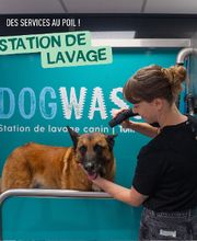 Tom&Co Denain image 7