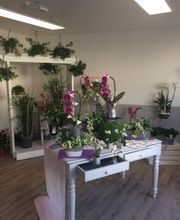 Le temps des Fleurs image 6