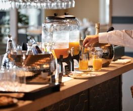 pet-friendly hotel malaga