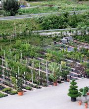 Schober Giardini Bild 1