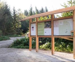 FriedWald Donaueschingen Bild 6