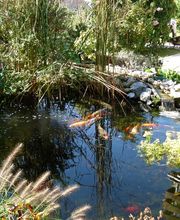 Zysset + Partner AG Bild 4