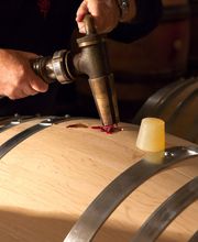 Domaine Gavignet Père et Fils - Maurice Gavignet image 6