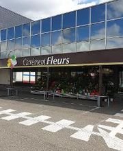 Carrément Fleurs - Fleuriste Vernouillet Dreux 28 - Livraison de fleurs à domicile image 8