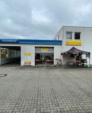 Scheiben-Doktor Machern Bild 6