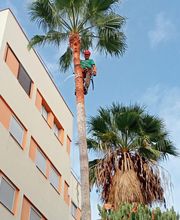 Jardinería Juan García imagen 7