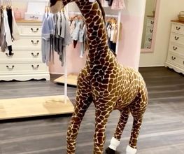 Mon Petit Dressing Bild 8