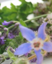 Naturheilpraxis Ursular Stolle Bild 3