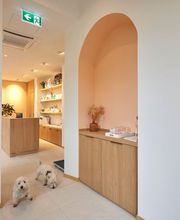 Valérie Ruiz Sàrl Bild 10