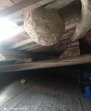 Bresse Nuisibles image 7