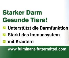 Leckmasse Fulminant Parafit