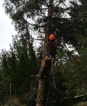 A.D.S Services image 12