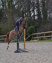 Ecuries De Saint Lunaire image 2