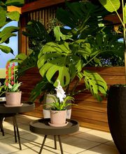 Art D'horizon image 7