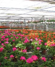 SCEA DE BEAUNE image 11