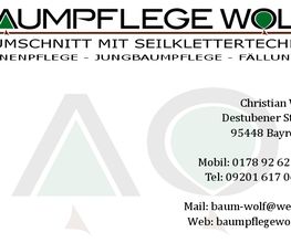 Baumpflege Wolf Bild 1