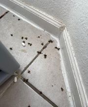 Source Pest Control image 12