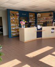 Desreaux Séverine image 2