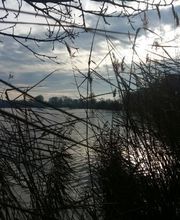 La Brasserie du lac image 8